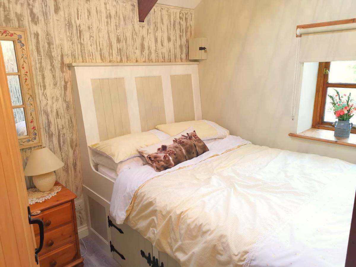 Farm Accommodation - The Lizard Peninsula, Cornwall Helston Exterior foto